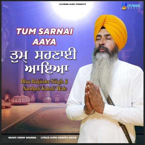 Tum Sarnai Aaya cover art