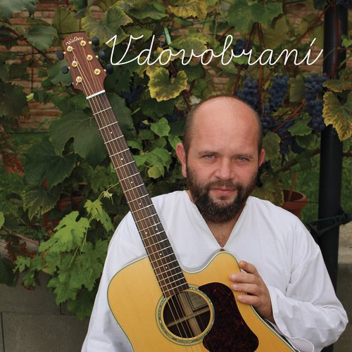 Janek cover art