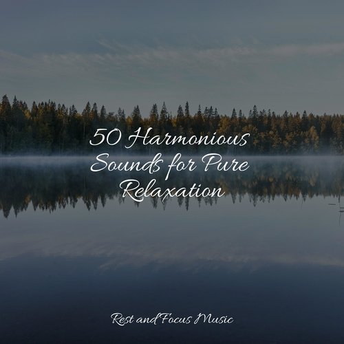 50 Harmonious Sounds for Pure Relaxation_poster_image