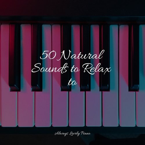 50 Natural Sounds to Relax to