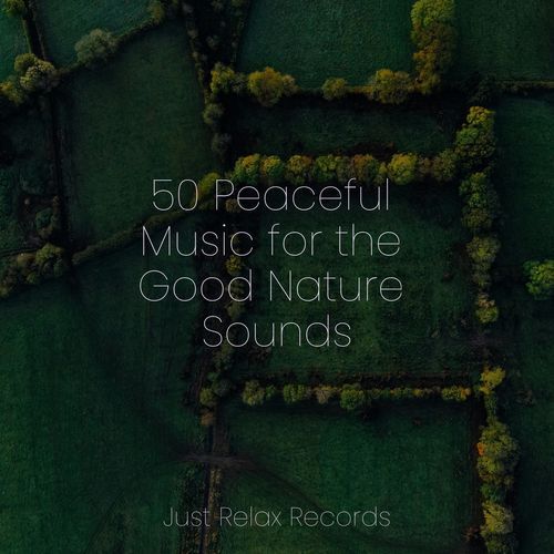 50 Peaceful Music for the Good Nature Sounds