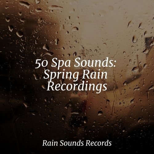 50 Spa Sounds: Spring Rain Recordings_poster_image