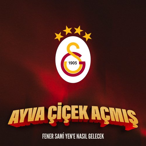 Ayva Çiçek Açmış (Fener Sami Yen&#039;e Nasıl Gelecek)_poster_image