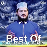 Best of Zulfiqar Ali Hussaini