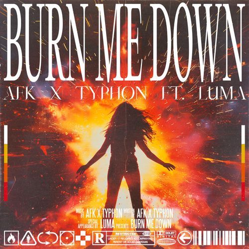 Burn Me Down (feat. Luma)_poster_image