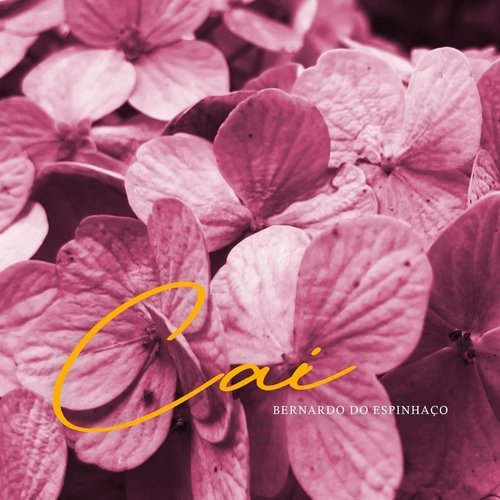 Cai cover art