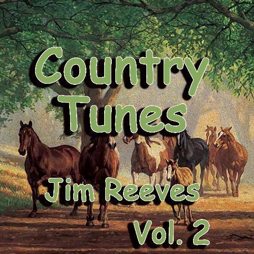 Country Tunes, Vol. 2