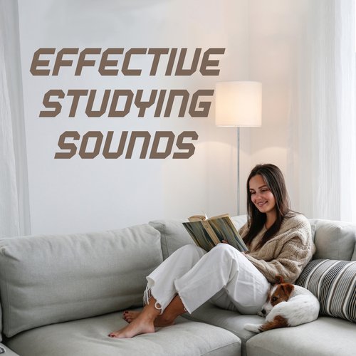 Effective Studying Sounds: Better Concentration While Studying_poster_image