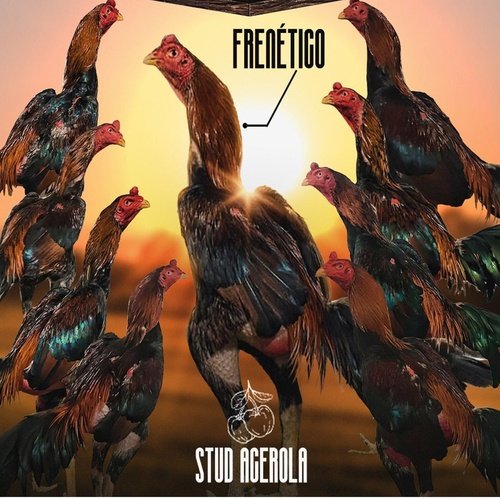 Galo Frenético cover art
