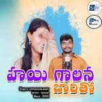 HAYI GAALANA JARITO RANIYE BANJARA LOVE SONG