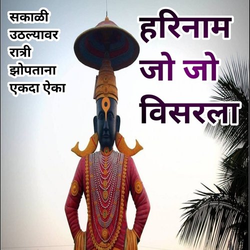 Harinam Jo Jo Visarla