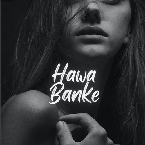 Hawa Banke (Slowed & Reverb)