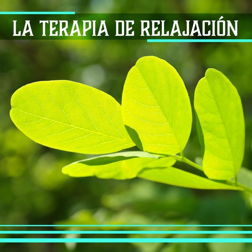 Música Relajante cover art