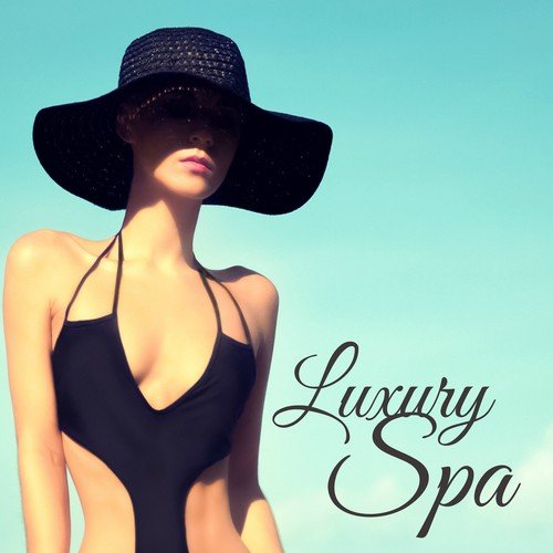 Day Spa (Beauty Spa) cover art