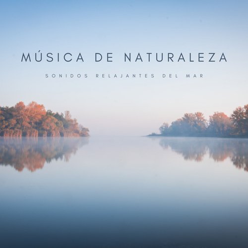 Optimismo Del Mar cover art