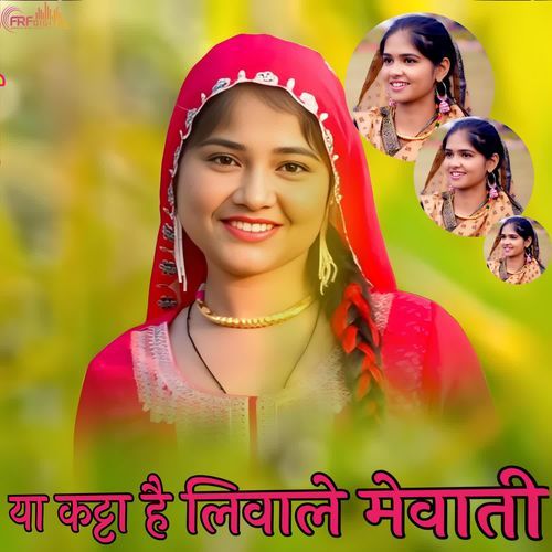 या कट्टा है लिवाले MEWATI