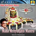 Maha Mrutyunjaya Mantra