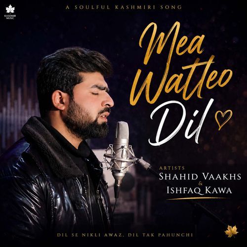 Mea Watleo Dil (Feat. Shahid Vaakhs)