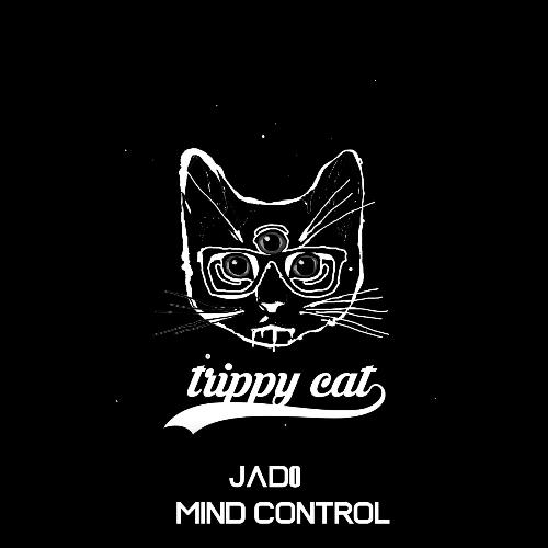 Mind Control (Original Mix)