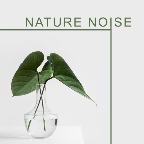 Sleep Sounds of Nature cover art
