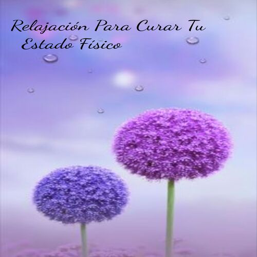 Relajación Para Curar Tu Estado Físico_poster_image