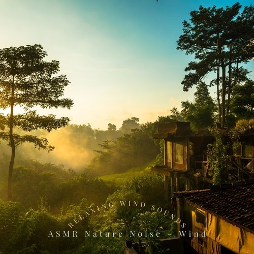 ASMR Jungle Winds cover art