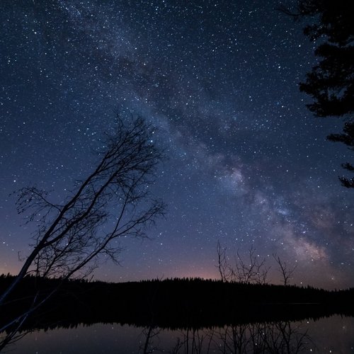 Sounds of Nature - Soft Melodies for Relaxing