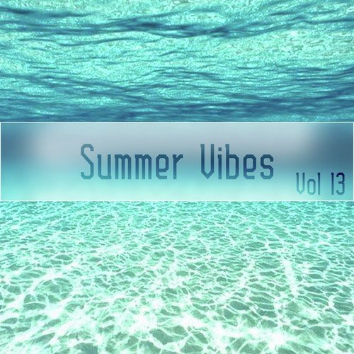 Summer Vibes,Vol.13