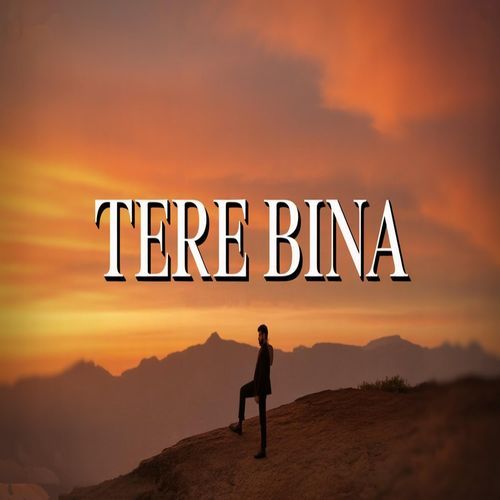 Tere Bina cover art