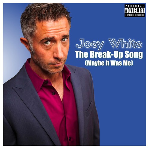 The Break-up Song (Maybe It Was Me)
