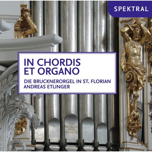 Wagner, Vivaldi & Reger: In Chordis Et Organo