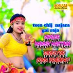 teen chij  najara gai raja