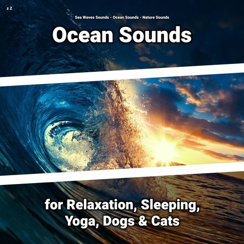 Ocean Sounds for Sleep cover art