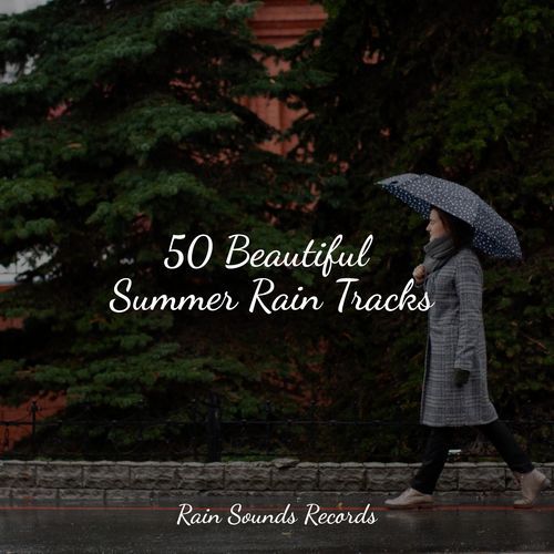 50 Beautiful Summer Rain Tracks