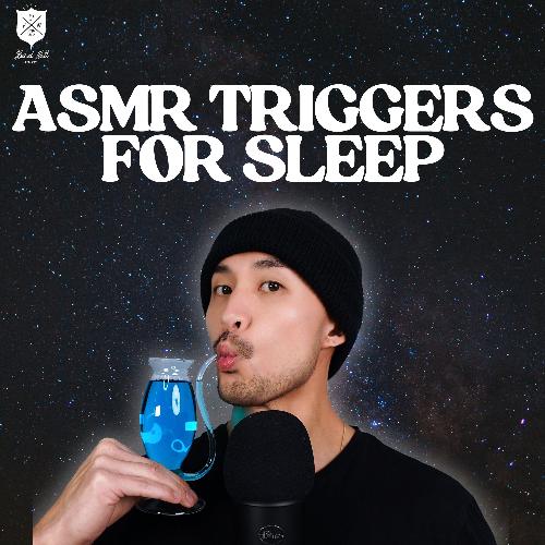 Gentle Sleepy Serenade cover art