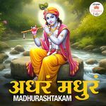 Adharam Madhuram - Madhurashtakam artwork