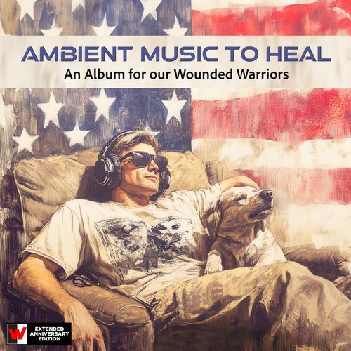 Ambient Music to Heal_poster_image