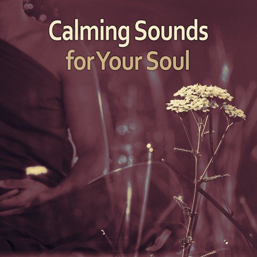 Buddha Meditation cover art
