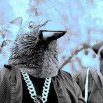 Crazy Crow