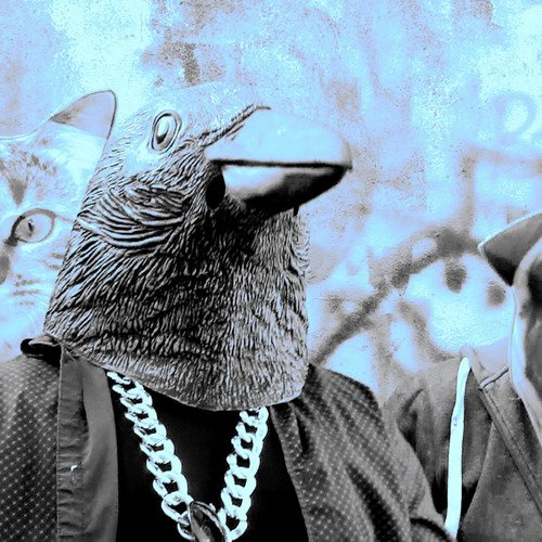 Crazy Crow