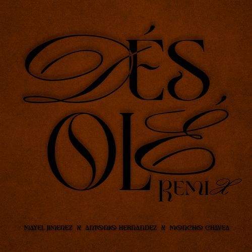 DESOLÉ (Remix)