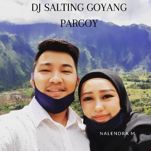 DJ Salting Goyang Pargoy cover art