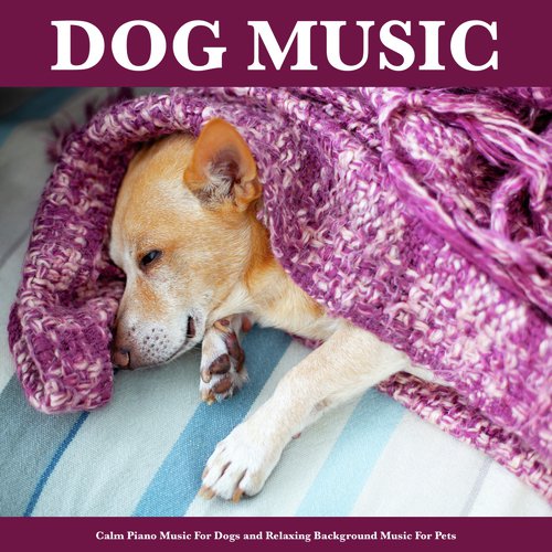 Relax My Dog cover art