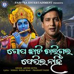 Gopa Chhadi Chaligala Ferila Nahin
