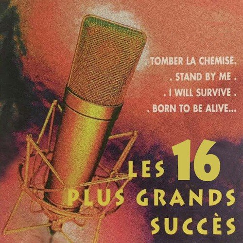 Les 16 plus grands succès