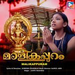 Kanikandunarunnu Swami