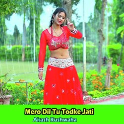 Mero Dil Tu Todke Jati-By0PWUQAf34