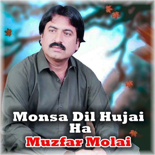 Monsa Dil Hujai Ha