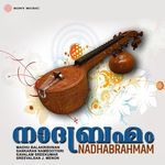 Paridhaanamichithe