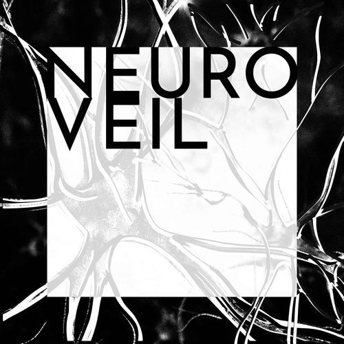 Neuroveil